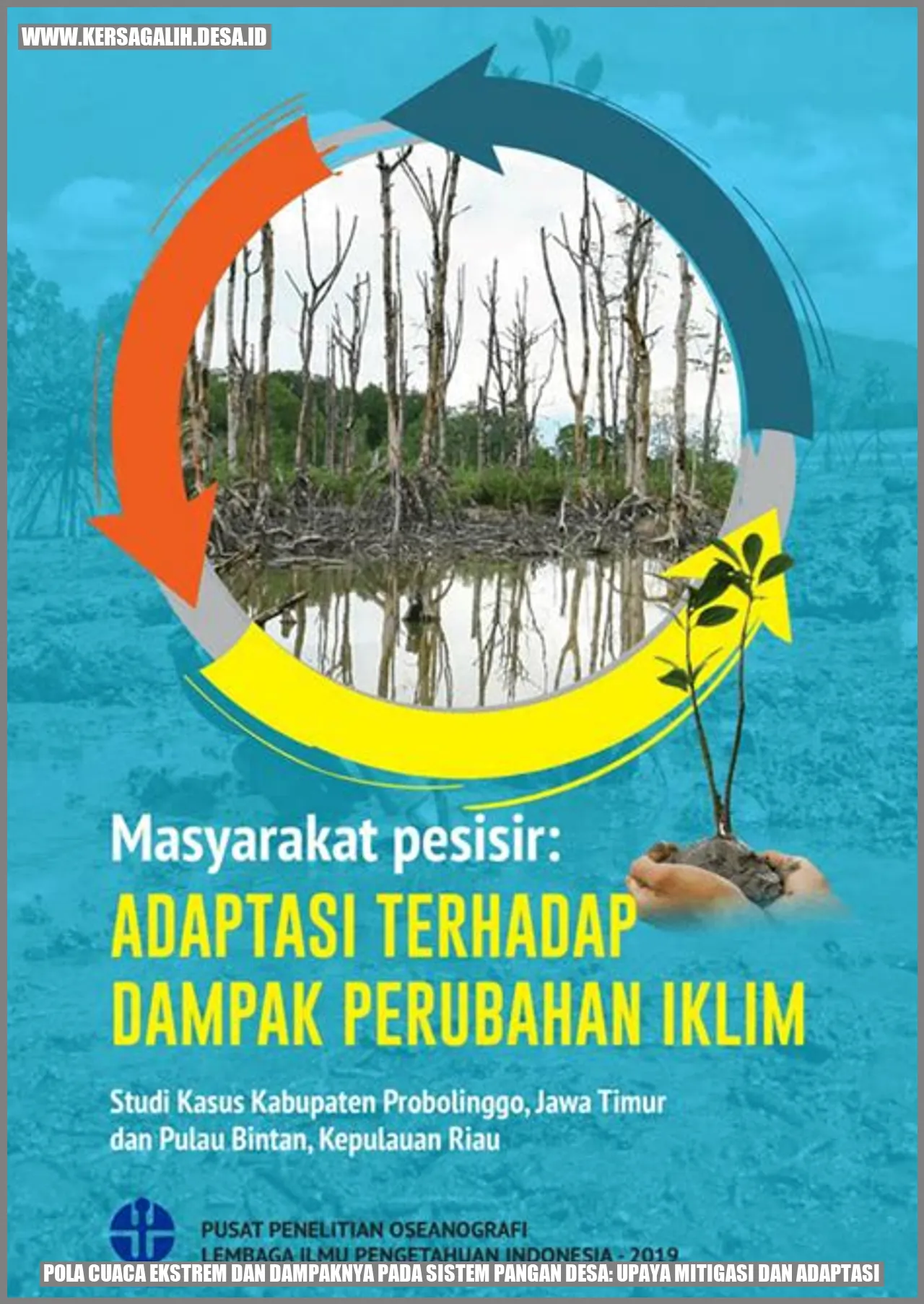 Pola Cuaca Ekstrem dan Dampaknya pada Sistem Pangan Desa: Upaya Mitigasi dan Adaptasi